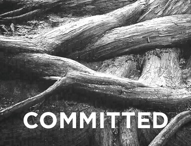Committed