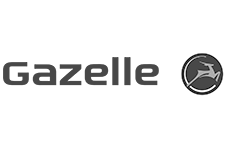 Gazelle-grey-225-150